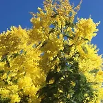 Сasa de vacaciones Maison Charmante Jardin Soulac-sur-Mer